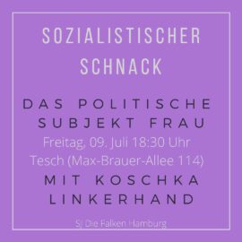 Sozialistsicher Schnack: Das politische Subjekt Frau.  Grundzüge eines materialistischen Feminismus